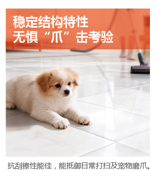 冠固达- 1688匠心砖色系列水洗碳环彩砂美缝剂-04.jpg